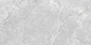 TUBĄDZIN GOBI GREY STR PŁYTKA GRESOWA 59,8X119,8