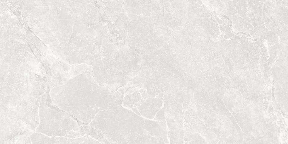 TUBĄDZIN GOBI LIGHT GREY STR PŁYTKA GRESOWA 59,8X119,8