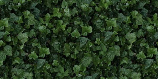 41ZERO42 PAPER41 PRO JANE E&nbsp;4100155 PŁYTKA ŚCIENNA 50X100