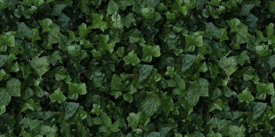 41ZERO42 PAPER41 PRO JANE E&nbsp;4100155 PŁYTKA ŚCIENNA 50X100