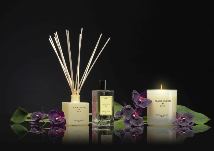 CERERIA MOLLA CM-1353 ZAPAS DO&nbsp;DYFUZORA 200ML. BLACK ORCHID AND LILY