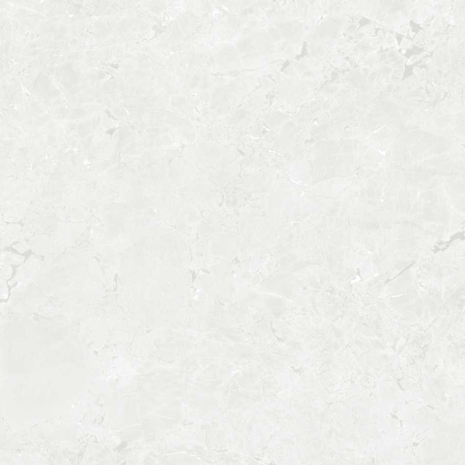 CERAMICA LIMONE GEKKO WHITE PŁYTKA GRESOWA 120X120