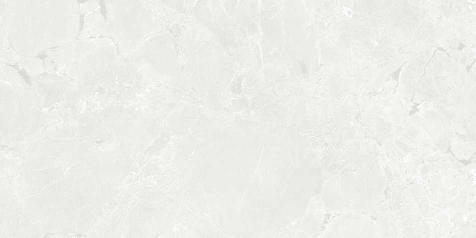 CERAMICA LIMONE GEKKO WHITE PŁYTKA GRESOWA 60X120