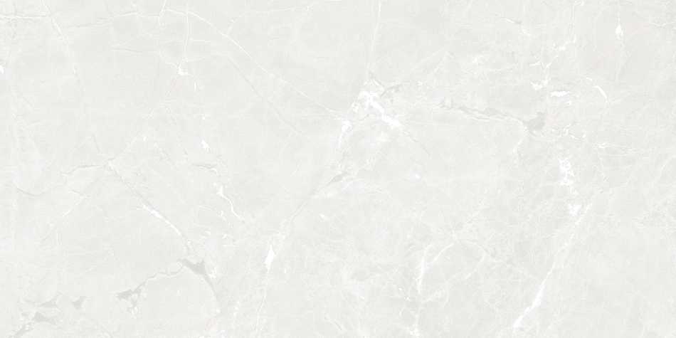 CERAMICA LIMONE GEKKO WHITE PŁYTKA GRESOWA 60X120