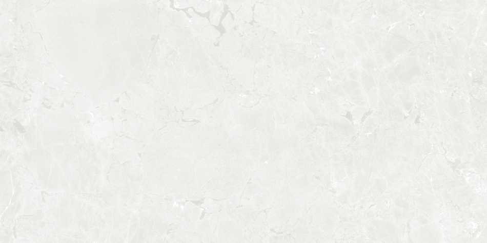 CERAMICA LIMONE GEKKO WHITE PŁYTKA GRESOWA 60X120