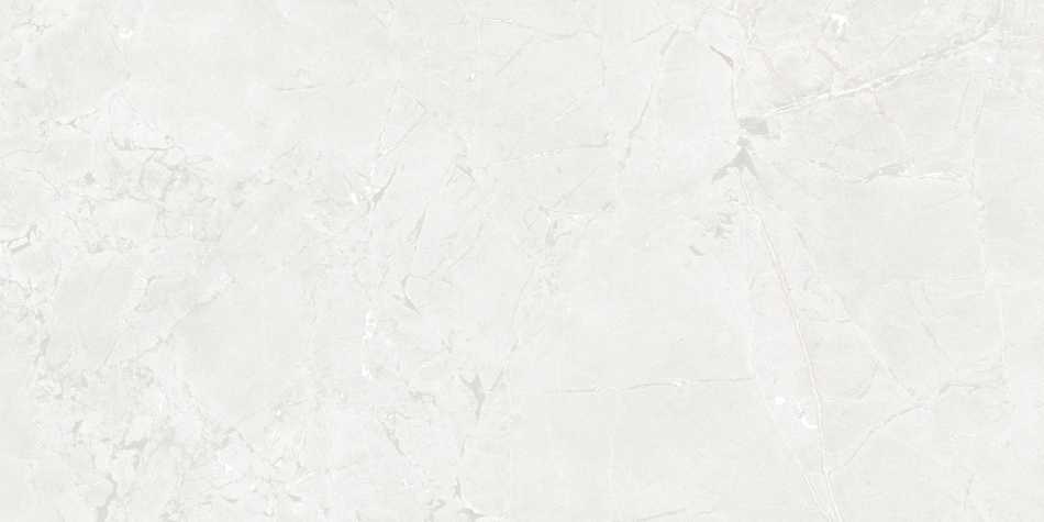 CERAMICA LIMONE GEKKO WHITE PŁYTKA GRESOWA 60X120