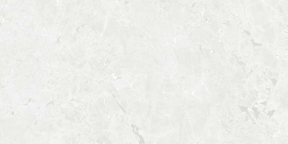 CERAMICA LIMONE GEKKO WHITE PŁYTKA GRESOWA 60X120