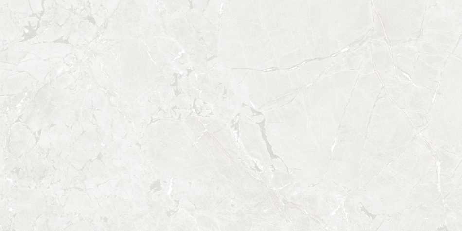 CERAMICA LIMONE GEKKO WHITE PŁYTKA GRESOWA 60X120