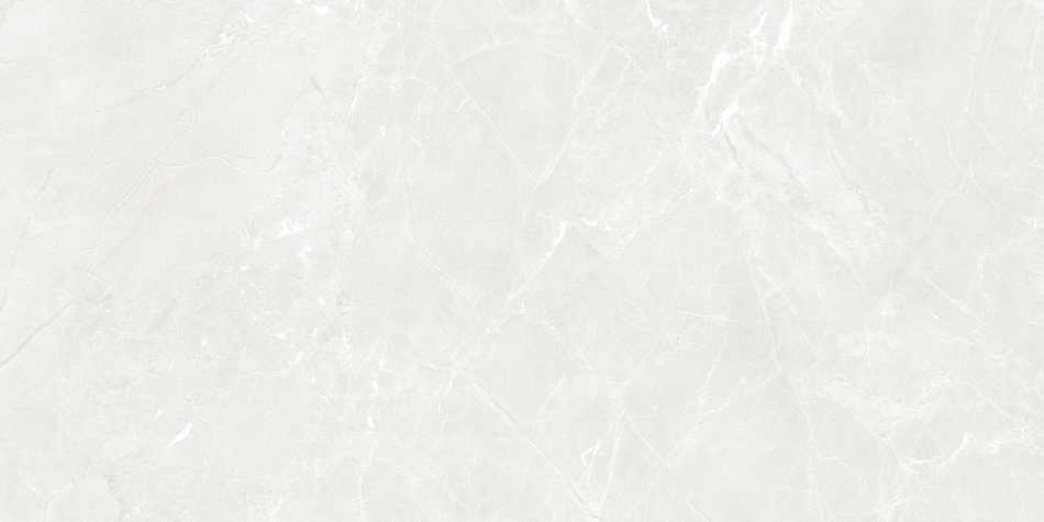 CERAMICA LIMONE GEKKO WHITE PŁYTKA GRESOWA 60X120