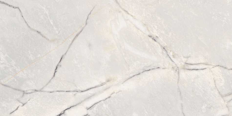 FLAVIKER SUPREME TREASURE GREYLAC PLATINUM LUX 0009023 PŁYTKA GRESOWA 60X120