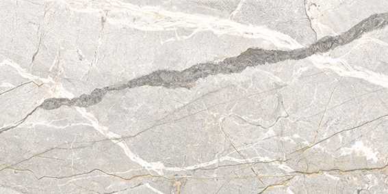 FLAVIKER SUPREME HEDONISM SILVER ROOTS 0017521 PŁYTKA GRESOWA 60X120