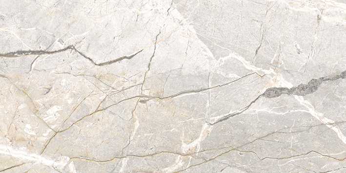 FLAVIKER SUPREME HEDONISM SILVER ROOTS 0017521 PŁYTKA GRESOWA 60X120