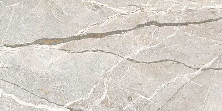 FLAVIKER SUPREME HEDONISM SILVER ROOTS 0017521 PŁYTKA GRESOWA 60X120