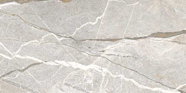 FLAVIKER SUPREME HEDONISM SILVER ROOTS 0017521 PŁYTKA GRESOWA 60X120