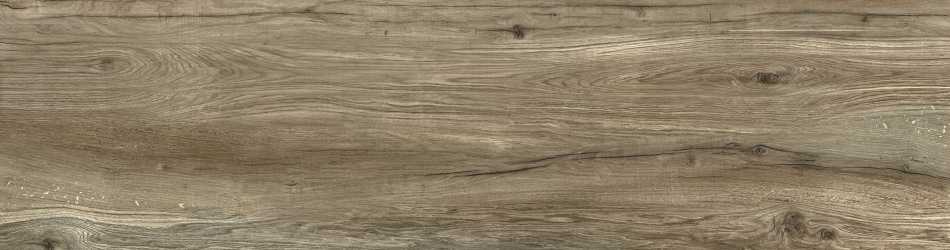 ZOYA KENO NATURAL PŁYTKA GRESOWA 15,5X62