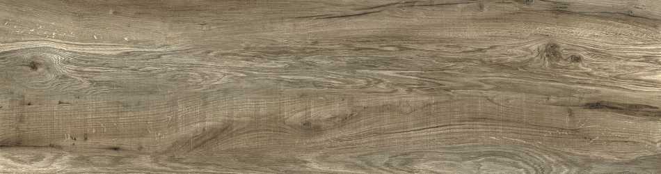 ZOYA KENO NATURAL PŁYTKA GRESOWA 15,5X62