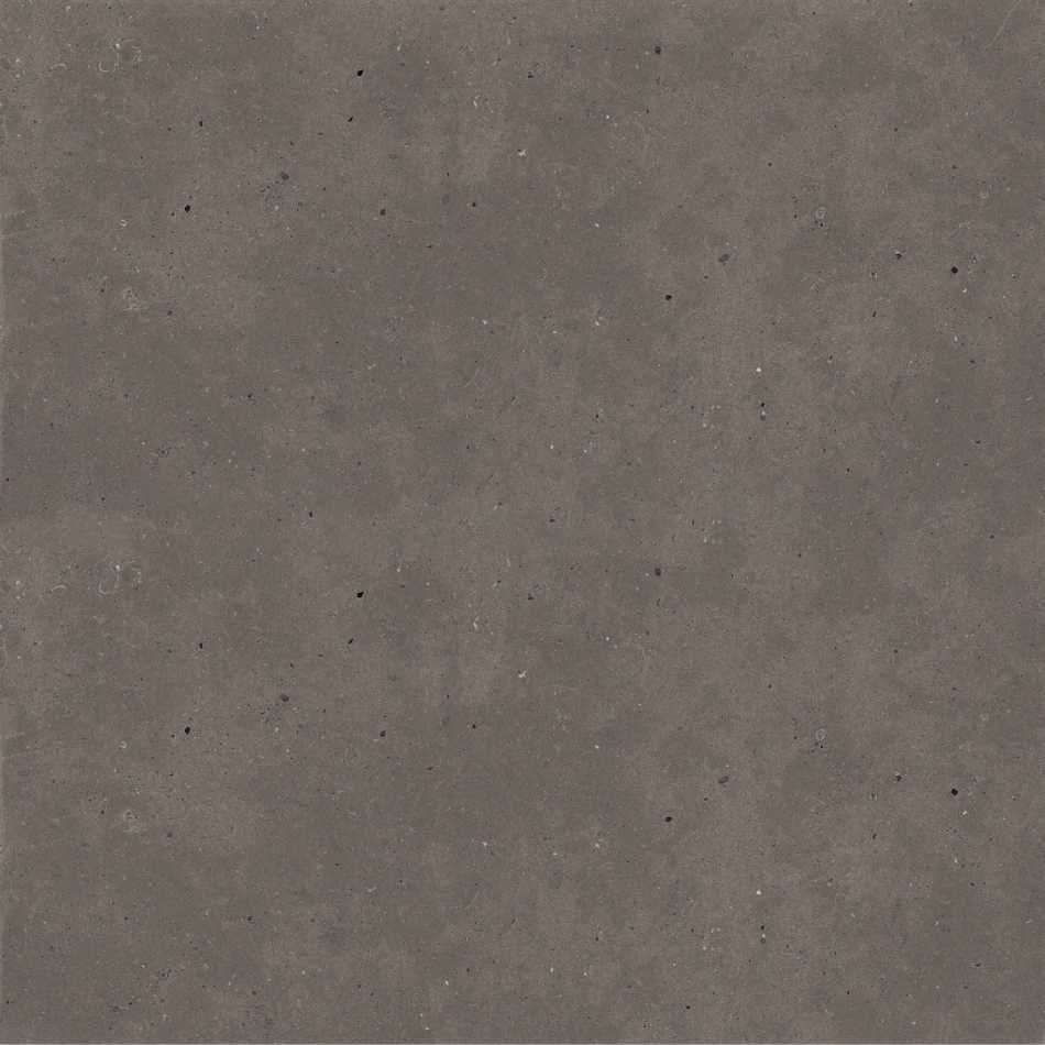 GRANITI FIANDRE BROWN FJORD AS213X8120R10 PŁYTKA GRESOWA 120X120