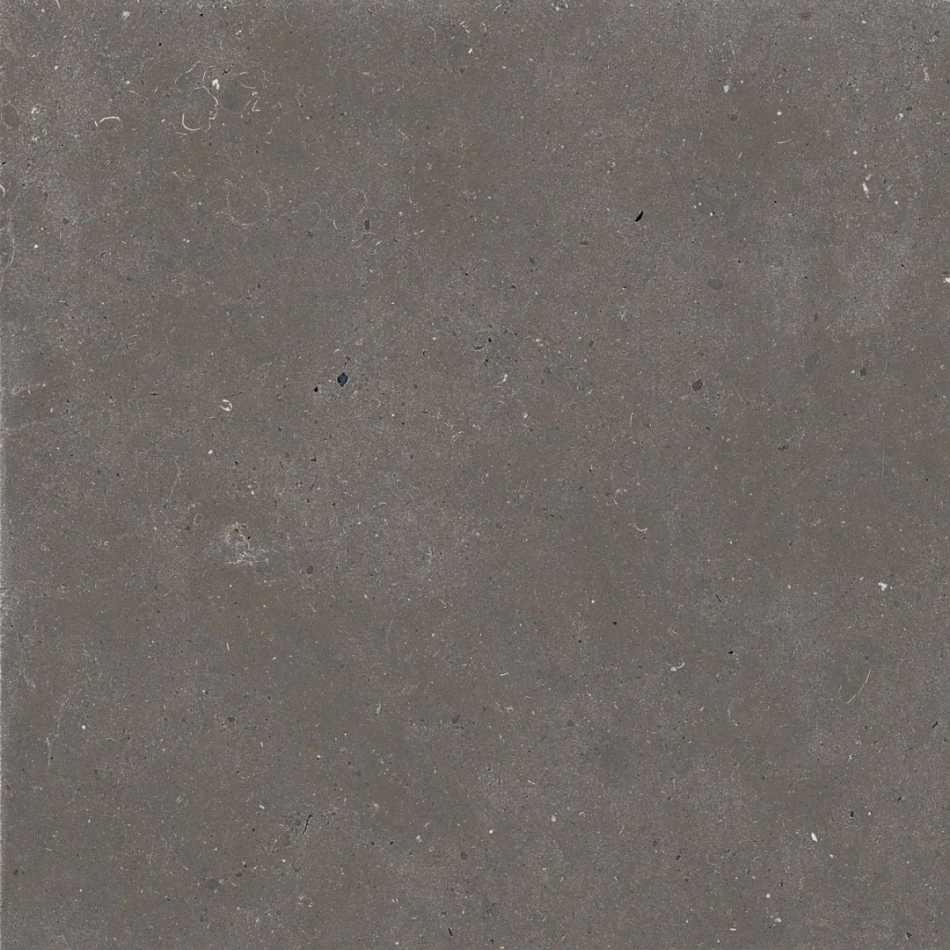 GRANITI FIANDRE DUSTY FJORD AS208X8120R10 PŁYTKA GRESOWA 120X120