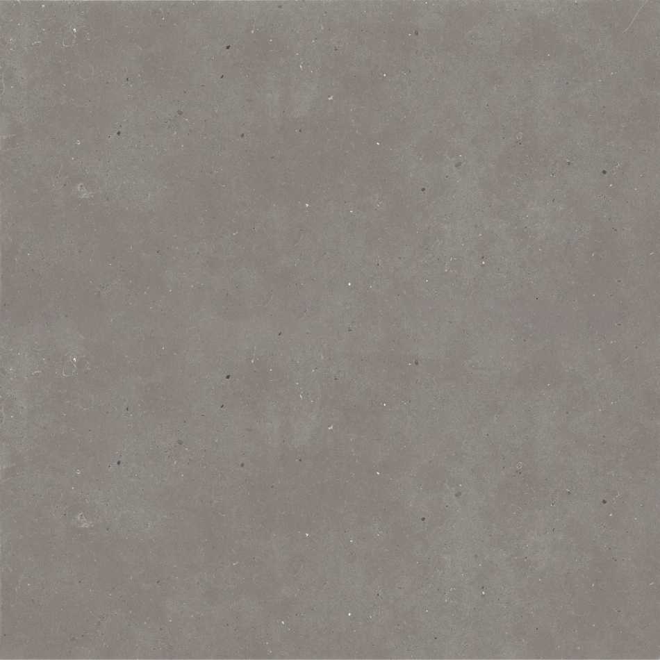 GRANITI FIANDRE GREY FJORD AS209X8120R10 PŁYTKA GRESOWA 120X120