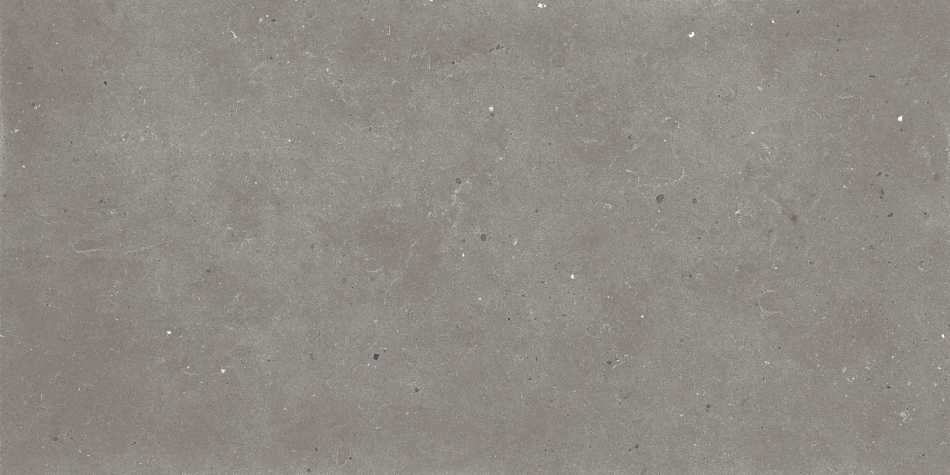GRANITI FIANDRE GREY FJORD AS209X836R10 PŁYTKA GRESOWA 30X60